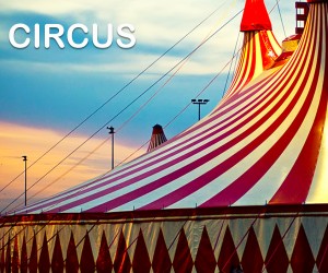 Circus