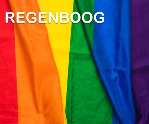 Regenboog