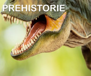 Prehistorie