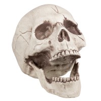 Halloweendecoratie: Schedel Jawbone met Beweegbare Kaak (16 x 14 x 21cm)