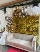 Backdrop met Shimmerwall en Organische ballonboog EVE105