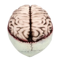 Halloweendecoratie: Schedel 'Brain-dead' met Beweegbare Kaak (18 x 13 x 15 cm)